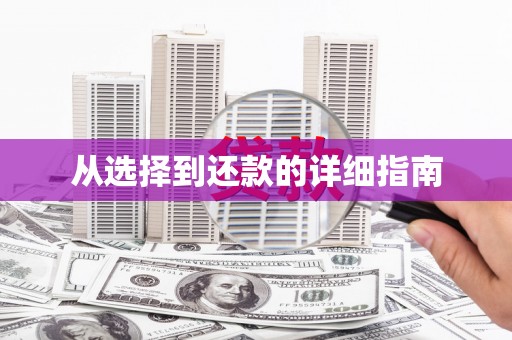 巴马从选择到还款的详细指南