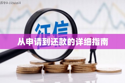 巴马从申请到还款的详细指南