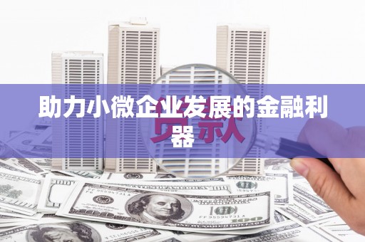 巴马助力小微企业发展的金融利器
