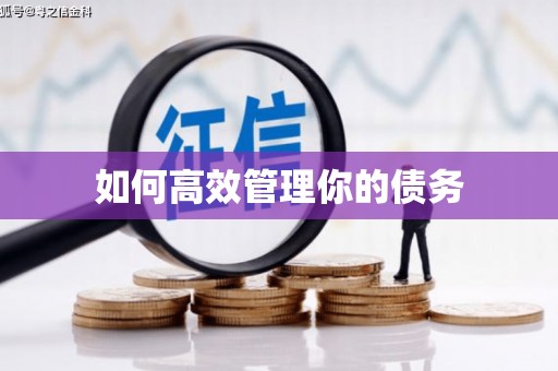 巴马如何高效管理你的债务