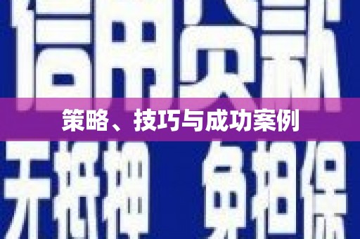 巴马策略、技巧与成功案例