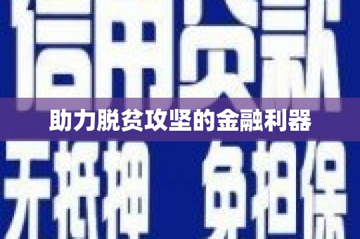 巴马助力脱贫攻坚的金融利器