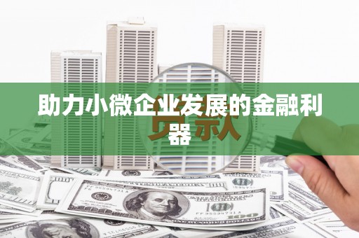 巴马助力小微企业发展的金融利器