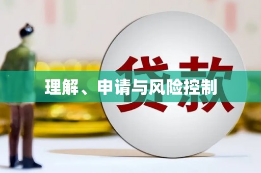 巴马理解、申请与风险控制