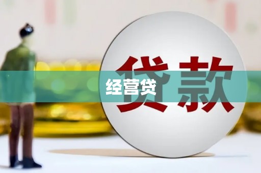 巴马经营贷