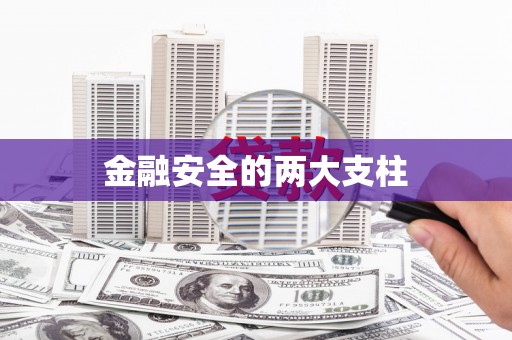 巴马金融安全的两大支柱
