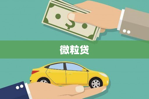 巴马微粒贷