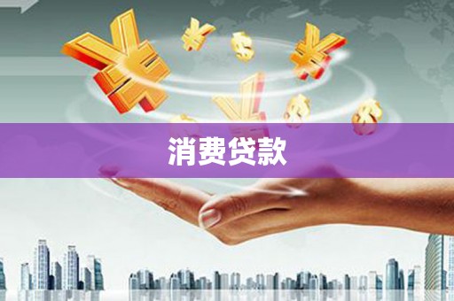 巴马消费贷款
