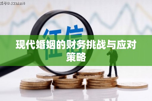 巴马现代婚姻的财务挑战与应对策略