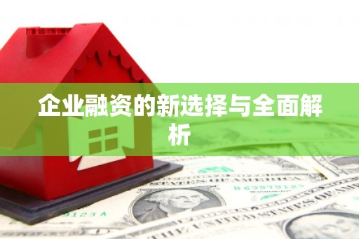 巴马企业融资的新选择与全面解析