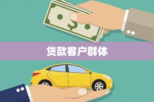 巴马贷款客户群体