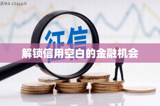 巴马解锁信用空白的金融机会
