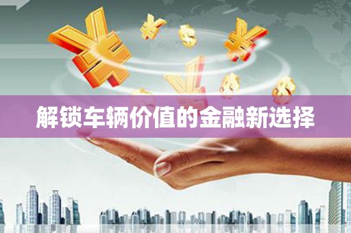 巴马解锁车辆价值的金融新选择