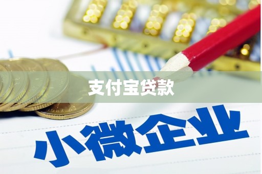 巴马支付宝贷款