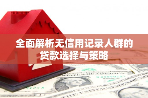 巴马全面解析无信用记录人群的贷款选择与策略