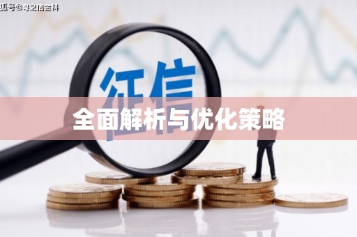 巴马全面解析与优化策略