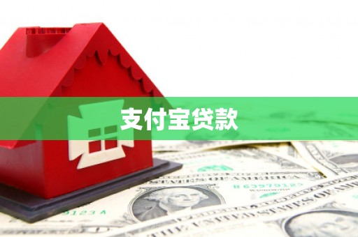 巴马支付宝贷款
