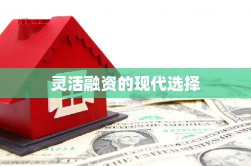 巴马灵活融资的现代选择