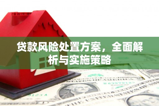 巴马贷款风险处置方案，全面解析与实施策略