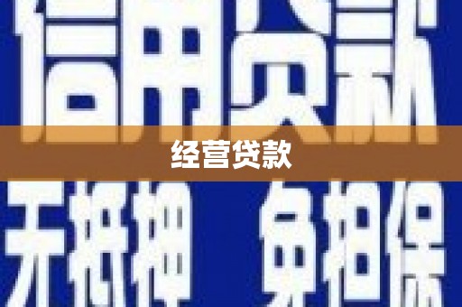 巴马经营贷款