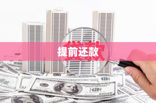 巴马提前还款