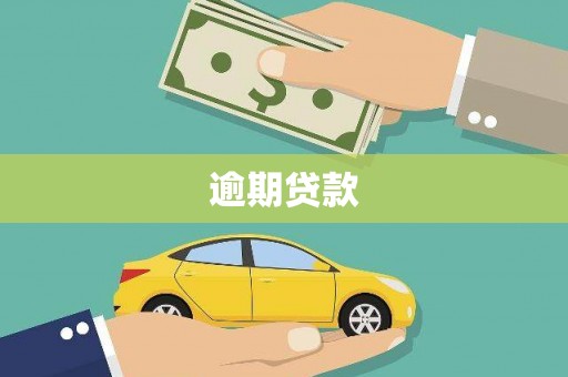 巴马逾期贷款