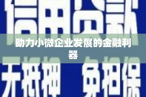 巴马助力小微企业发展的金融利器