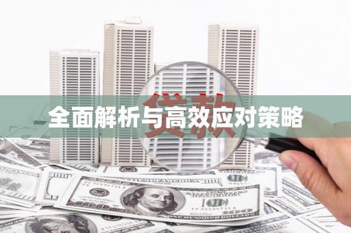 巴马全面解析与高效应对策略