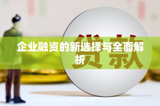 巴马企业融资的新选择与全面解析