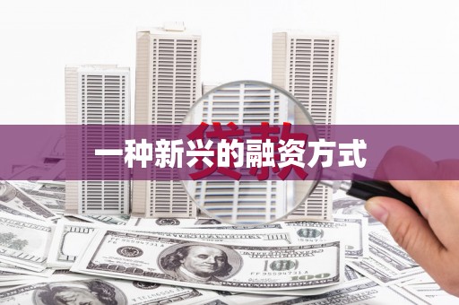 巴马一种新兴的融资方式