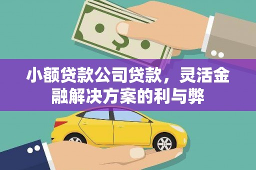 巴马小额贷款公司贷款，灵活金融解决方案的利与弊